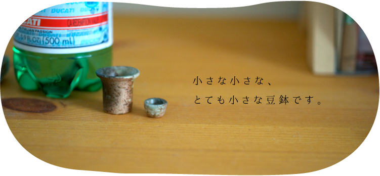 信楽焼の豆盆栽・豆鉢・豆生け花